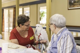 BaycrestPetTherapy.jpg BaycrestPetTherapy.jpg