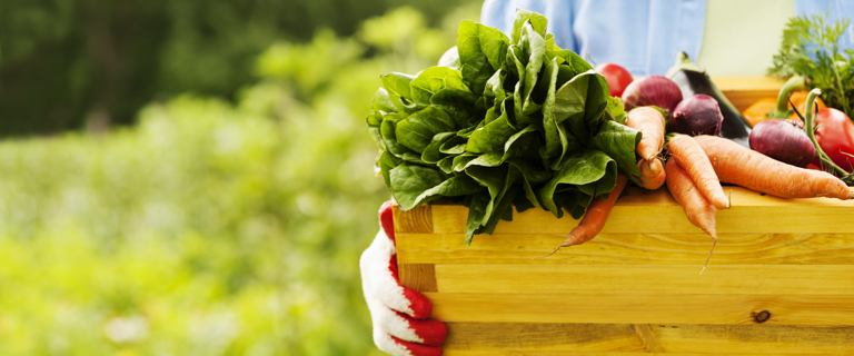 gardenveges_126744209.jpg gardenveges_126744209.jpg