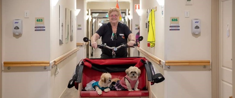 Rowes Bay DT Chezz Thompson w dogs China (pink) Sherbet (blue) (4).jpg Rowes Bay DT Chezz Thompson w dogs China (pink) Sherbet (blue) (4).jpg