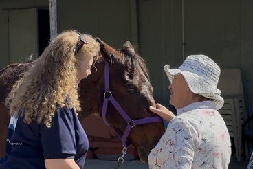 Galleon Gardens residents getting to know ex-race horses_.jpg