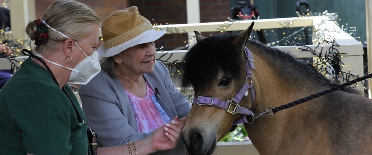 Maureen and Bronte the pony.jpg Maureen and Bronte the pony.jpg