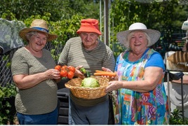 Rowes Bay residents in the community garden Rowes Bay residents in the community garden