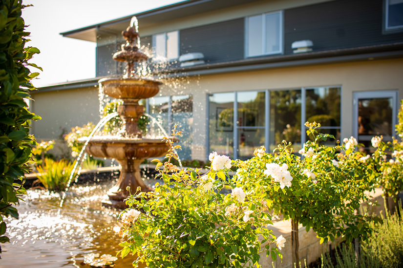 Martha Cove - Carousel