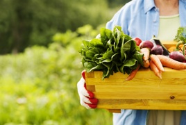 breezesmarketdayweb.jpg breezesmarketdayweb.jpg