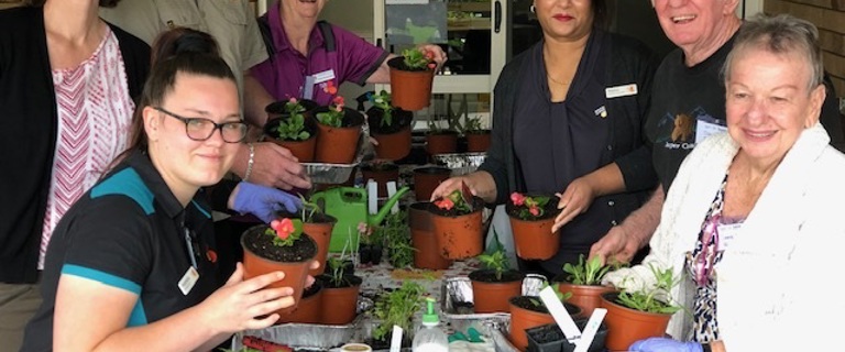 Inverpine garden web2.jpg Inverpine garden web2.jpg