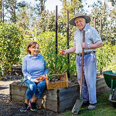 Talbarra community features